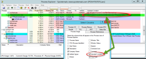 Services im Properties Menü des Prozesses im Microsoft SysInternals Process Explorer